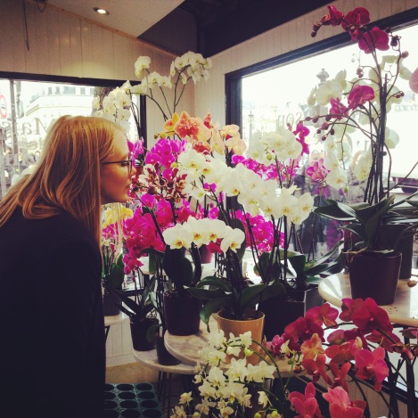 Olla and the Orchids