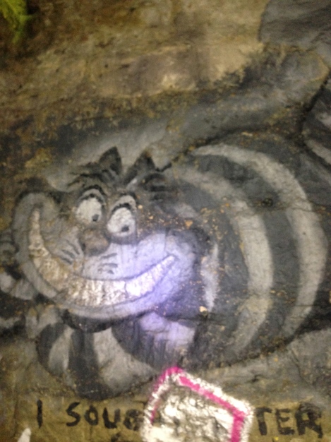 Movie Chamber Catacomb Art: Alice in Wonderland's Cheshire Cat
